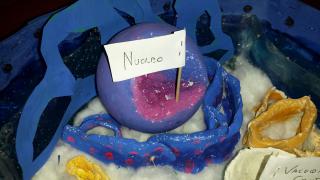 Noi riusciamo a respirare grazie a questi piccoli laboratori chimici che producono ossigeno._4